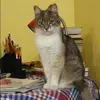 Отзыв от Александра Дементьева